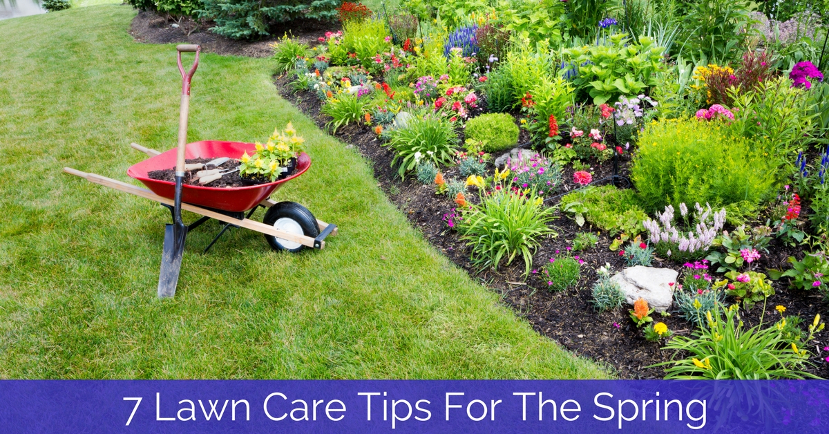 7 Lawn Care Tips For The Spring